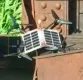 На фронті помітили ворожі дрони із сонячними панелями: чим вони небезпечні