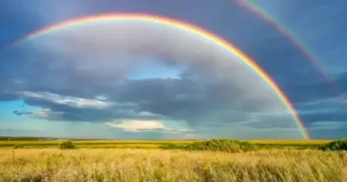 Дощі з грозами і до +29: якою буде погода в Україні 2 липня