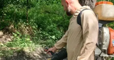 Какие мероприятия в Запорожье проводят для уменьшения количества комаров