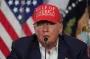 "Я слежу за этим": Трамп о наступлении РФ на Сумщине