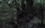 SOF carried out raid on group of Russian soldiers near border, one was captured: "We are brotherly peoples". VIDEO