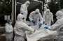 Украина передала солдат с жетонами ВС РФ, которых Россия выдавала за погибших бойцов ВСУ