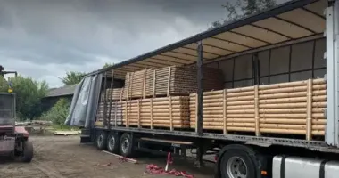 Підприємця з Київщини викрили в організації схеми контрабанди деревини до ЄС