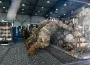 "Погибнет гораздо больше людей": США отходят от войны в Украине, — NYT