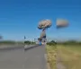 Под Житомиром прогремели мощные взрывы: серый "гриб" видно за несколько километров (видео)