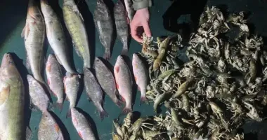 На Буковині чоловік наловив риби та раків на майже півмільйона гривень