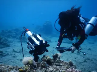 На морское дно опустили "чемодан с микроскопом": разгаданы тайны, которые не ожидали открыть