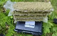 Правоохранители обезвредили наркокартель из Кривого Рога