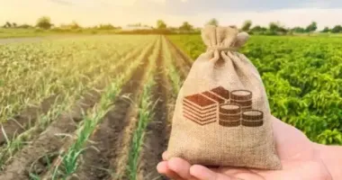 На Волині судитимуть посадовця Держгеокадастру за дерибан заповідних земель