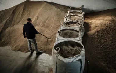 ЄС збільшив квоти на імпорт сільгосппродукції з України