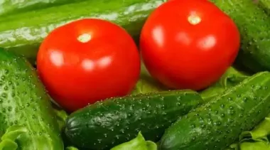 Догляд за огірками та помідорами в липні: що потрібно зробити зараз