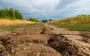 Засуха на Херсонщині досягла критичного рівня