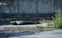 Russian strike on Kyiv: first victim reported. PHOTOS