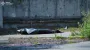 Person killed in large-scale Russian attack on Kyiv