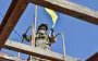 ЗСУ знищили російський триколор на кордоні з Чернігівською областю (відео)