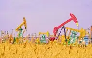 Саудовская Аравия и ОАЭ увеличили добычу нефти в июне