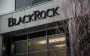 BlackRock остановил подготовку фонда для восстановления Украины: Bloomberg узнало причину