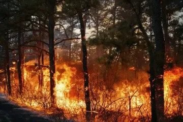 В Києві та області оголосили надзвичайний рівень небезпеки: що сталося