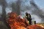 The General Staff of the AFU announced the destruction of a Russian plane