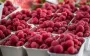 Нужно ли мыть малину перед употреблением? Ответ знают не все