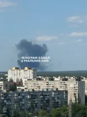 Що насправді горіло на лівому березі Києва та чи є загроза для киян