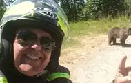 У Карпатах ведмідь загриз туриста-мотоцикліста