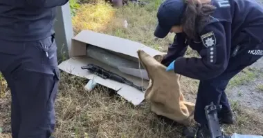 45 тисяч за зброю: на Дніпропетровщині затримали чоловіка, який продавав автомат і гранатомет