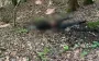 Body of man found in mountains near Romanian border – SBGS. PHOTO