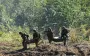 Россияне не понимают, за что гибнут на Сумщине, и вынуждены бежать, - эксперт