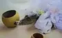 У Мексиці мер одружився з кайманом