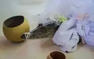 У Мексиці мер одружився з кайманом