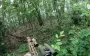 SOF fighters infiltrate from rear and conduct successful raid on occupiers’ position near Russian border. VIDEO