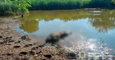 У ставку на Полтавщині втопився чоловік