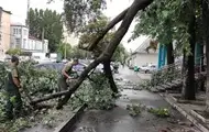 В Україні через негоду без світла лишились сотні населених пунктів