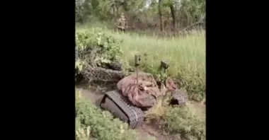 ВС РФ используют северокорейскую РСЗО Type-75 на платформе "Варан": в чем суть решения