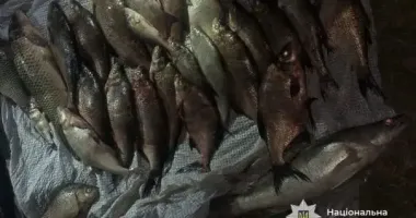 В Черкасской области разоблачили нелегальный отлов рыбы: убытки - более 350 тысяч гривен