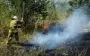 На Одещині вирують масштабні пожежі: є жертва