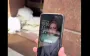 Ministry of Justice’s TikTok account posted video showing photos of Minister Stefaniishyna on screens of department’s employees’ phones. VIDEO