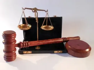 В Ужгороде собаку и свинью заставляли заниматься сексом с людьми: шокирующие подробности