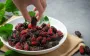 Нужно ли мыть шелковицу перед употреблением? Вы этого точно не знали