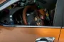 За тварин в авто будуть штрафувати та позбавляти волі: подробиці
