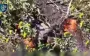 Defense Forces attacked 175 Russian invaders and destroyed 10 units of equipment since beginning of month. VIDEO