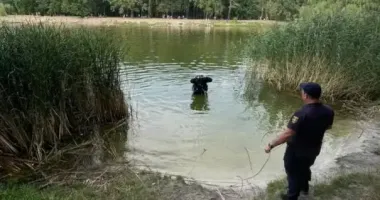 На кар'єрі під Житомиром на очах у друга втопився молодий чоловік