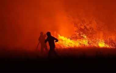 Лісова пожежа знеструмила понад 150 споживачів на Полтавщині