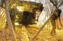 Месяцами говорят, что позиции наши, а они давно не наши — Чмут о проблеме армии