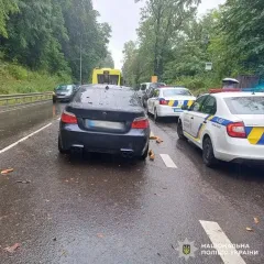 Неподалік Львова на BMW впало дерево: постраждала 17-річна дівчина (фото)