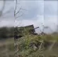 "Скоро начнут шпаклевать": ВС РФ для защиты обшили танк металлочерепицей (видео)