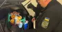 На Львівщині у багажнику авто прикордонники виявили старовинну скрипку