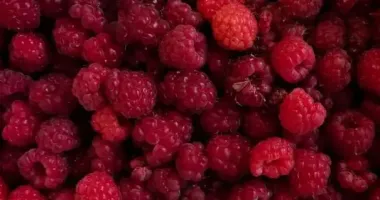 Ціни на заморожену малину рекордно виросли