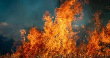 Синоптики попереджають: 11–13 липня в Україні – небезпека масштабних пожеж